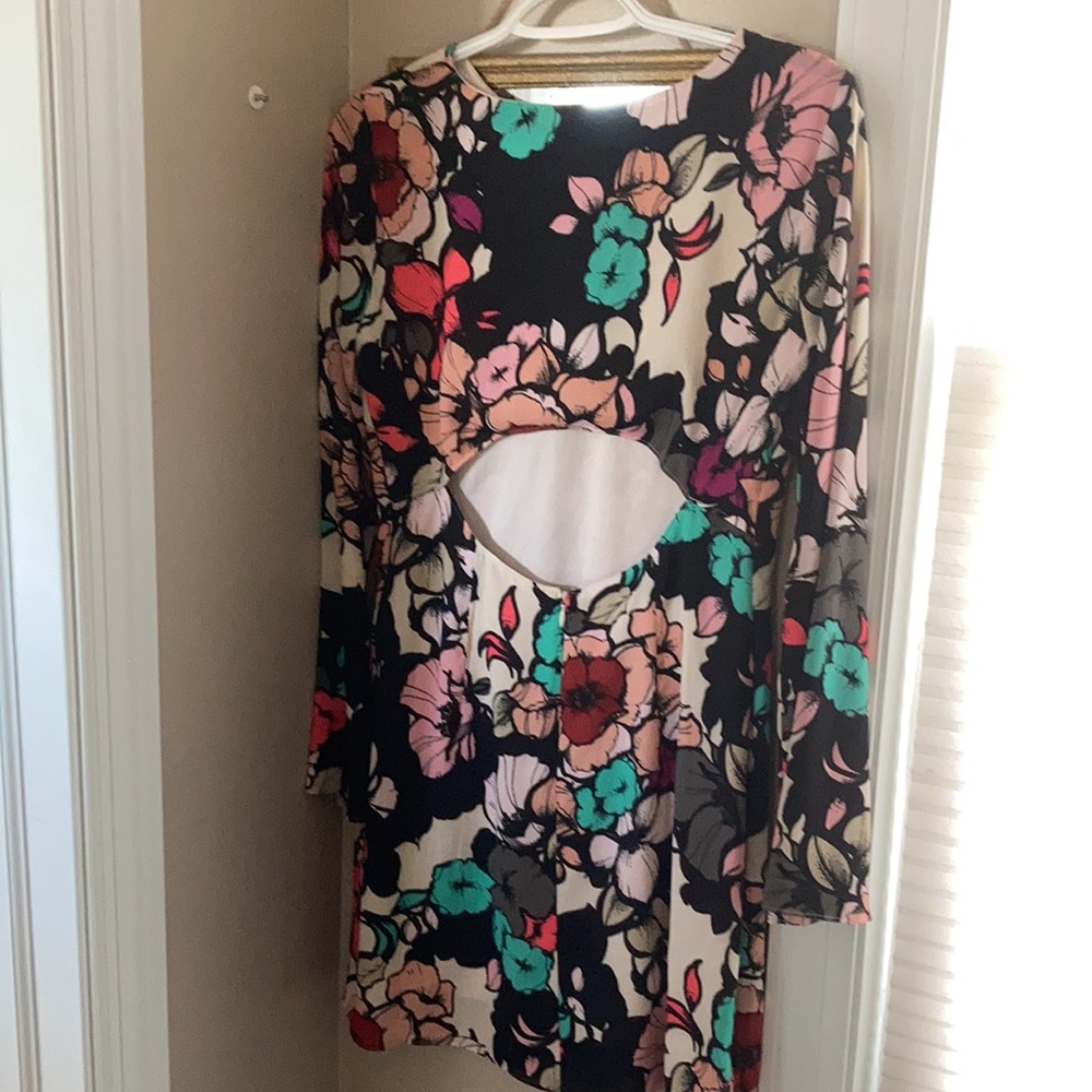 Express Dress - Picture 4 of 9